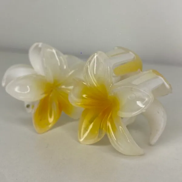 Mini pinzas Hawai - Imagen 7